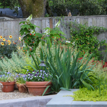 Dreamy, Secret Garden