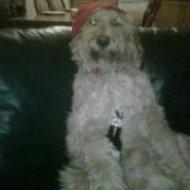 Bucca Foster's photo