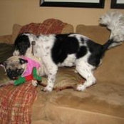 Kristin Keiser's photo