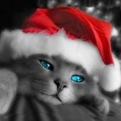 Sherri Roll's photo