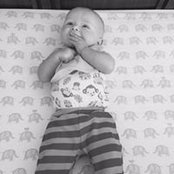 Addison Caddicks billede