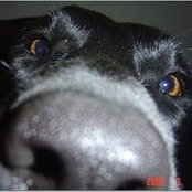 Roberta Harting's photo