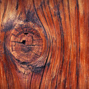 Micah Rauch's photo
