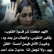 Nesreen Momtaz's photo