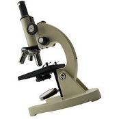 Photo de Carolyn Drew