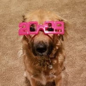 Michelle Mayer's photo