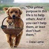 Mae Zenidra's photo