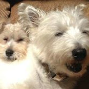 Jody Miller Goldstein's photo