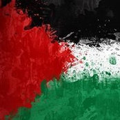 Jamal Romeh's photo