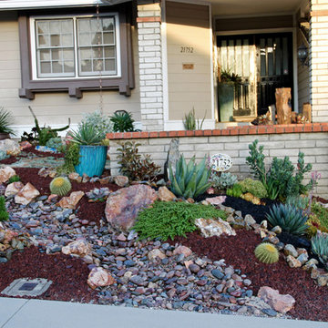 Lake Forest HOA Home Front Yard Remodel with Drought Tolerant Succulent Garden