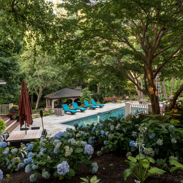 Backyard Transformation