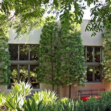 Family Compound
