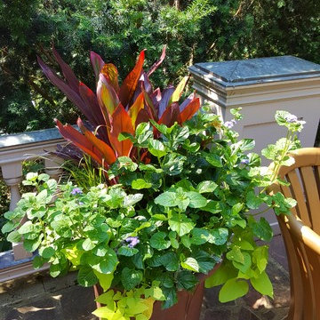 Container Garden