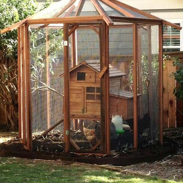 Chicken Coops