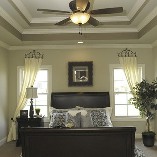 Double Tray Ceiling Houzz