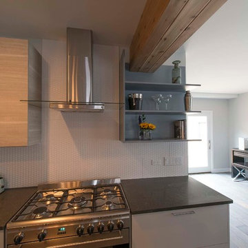 Chicago House Remodel: From Traditional to Contemporary