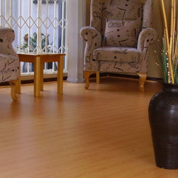Renovations - Laminate Flooring