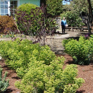Hillside Plantings