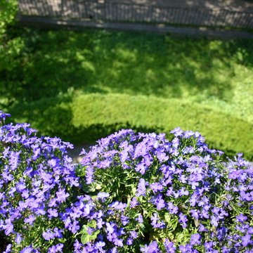 Impressionen aus dem Garten