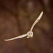 Diana Waller's photo