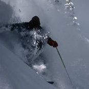 Jesse Robinson's photo