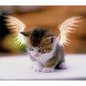 Elaine Grider's photo