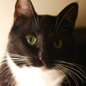 Katrina Barnaby's photo