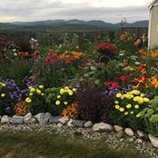 Cindy Wass's photo