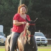Sandi Collette's photo