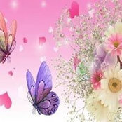 Pat McGrath Flynn's photo