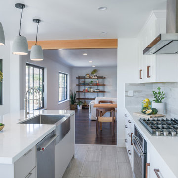 Silver Lake, CA Contemporary Design