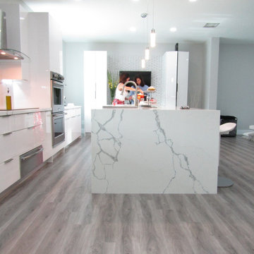 Full Home Remodel