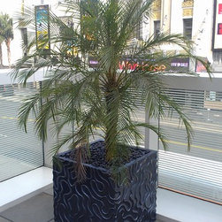 Planters & Arboreal Sculptures - Products