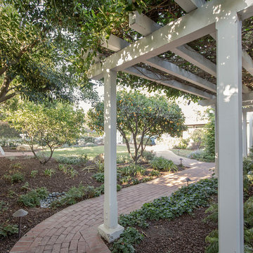 Trellises and Pergolas