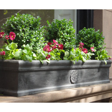 Brooklyn Window box arrangements