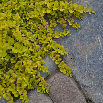 Patios