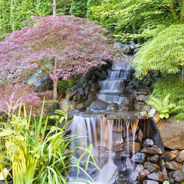Custom Pond & Water Feature Installations