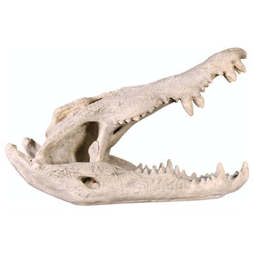 Crocodile Skull Sculptural Artifact