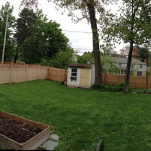 Patio and Backyard