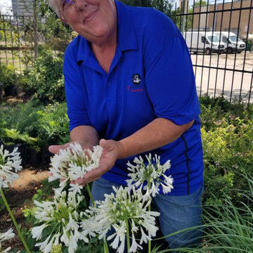 Meet the Roundtree Team: Kim Quigley