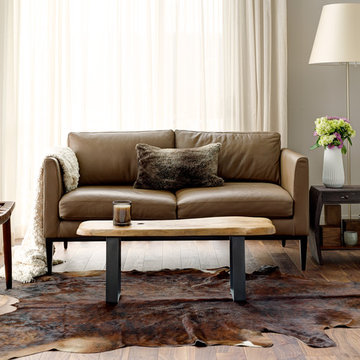 Transitional Living Room
