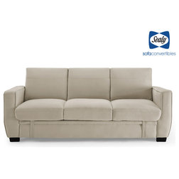 Transitional Futons by Sealy Sofa Convertibles