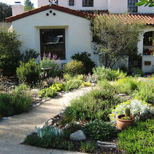 garden and landscape