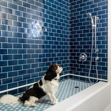 dog built in