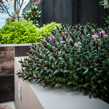Bryndwr Residence #1, by Goom Landscapes