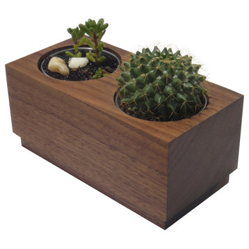 Modern Succulent Planter, Walnut, 3x3x6