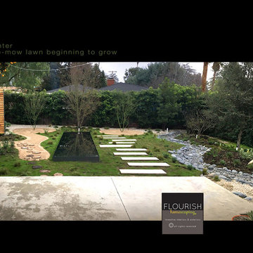 Pasadena Contemporary Urban Meadow