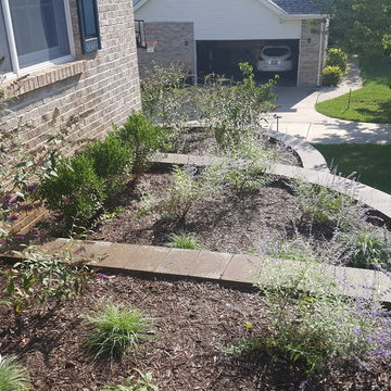 Ballwin Yard Overhaul