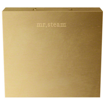 Mr Steam 104040 iTempo Square Steam Head Only - Satin Brass