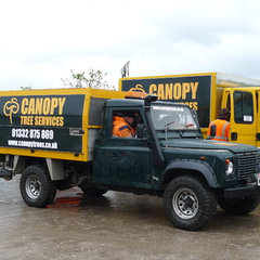 Canopy Tree Services